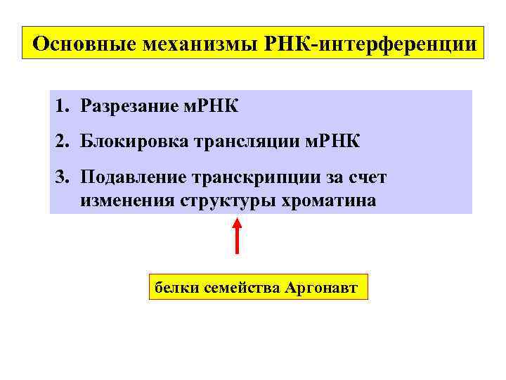 Основные механизмы РНК-интерференции 1. Разрезание м. РНК 2. Блокировка трансляции м. РНК 3. Подавление