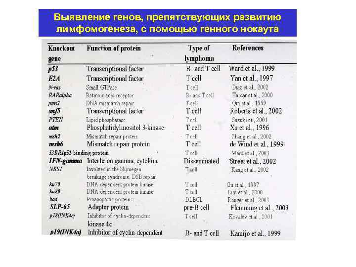 Выявление генов, препятствующих развитию лимфомогенеза, с помощью генного нокаута 