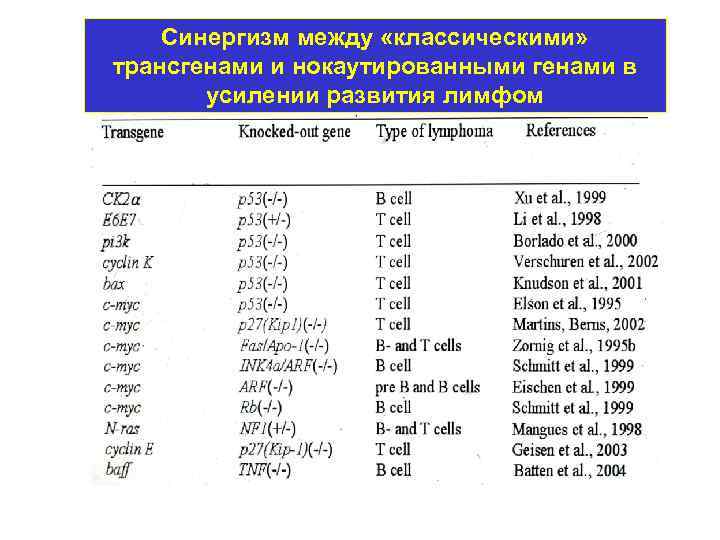 Синергизм между «классическими» трансгенами и нокаутированными генами в усилении развития лимфом 