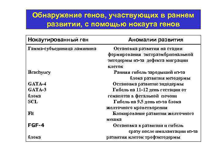 Обнаружение генов, участвующих в раннем развитии, с помощью нокаута генов Нокаутированный ген Аномалии развития