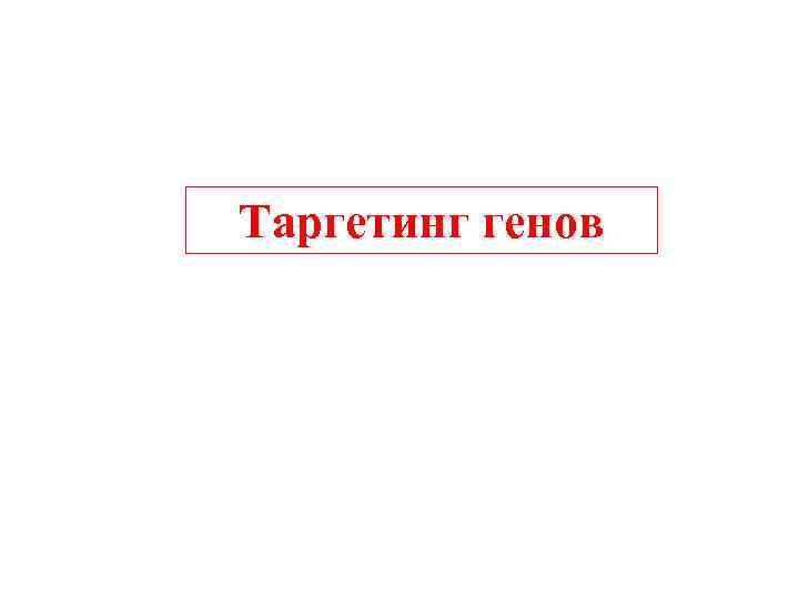 Таргетинг генов 