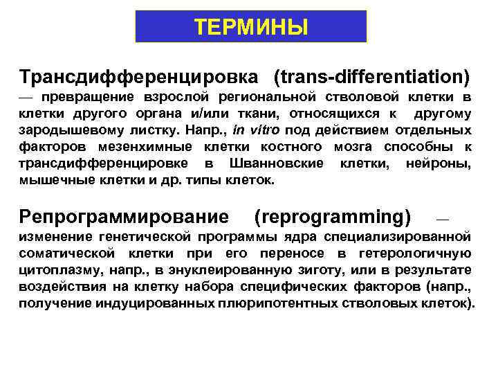 ТЕРМИНЫ Трансдифференцировка (trans-differentiation) — превращение взрослой региональной стволовой клетки в клетки другого органа и/или