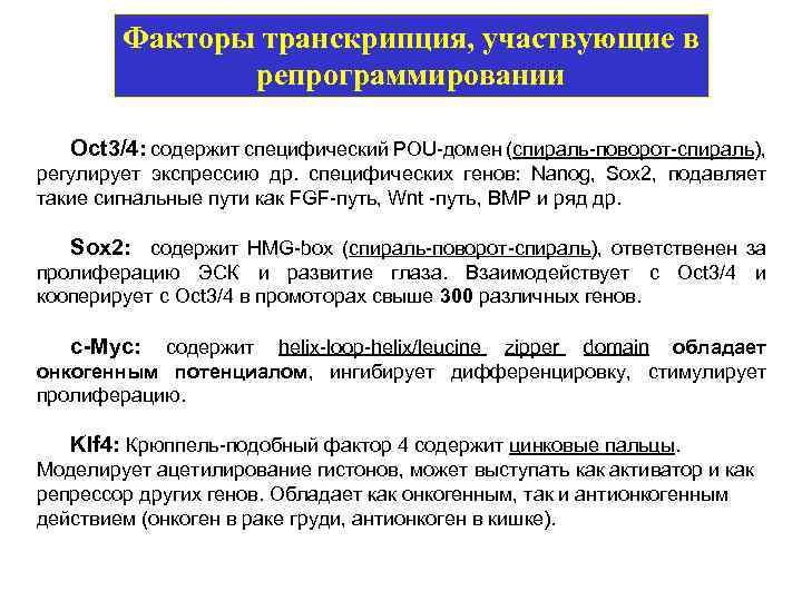 Факторы транскрипция, участвующие в репрограммировании Oct 3/4: содержит специфический POU-домен (спираль-поворот-спираль), регулирует экспрессию др.