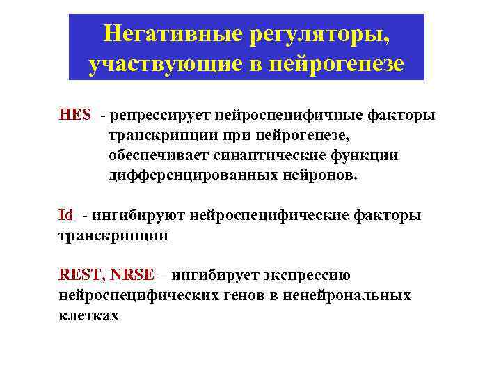 Негативные регуляторы, участвующие в нейрогенезе HES - репрессирует нейроспецифичные факторы транскрипции при нейрогенезе, обеспечивает