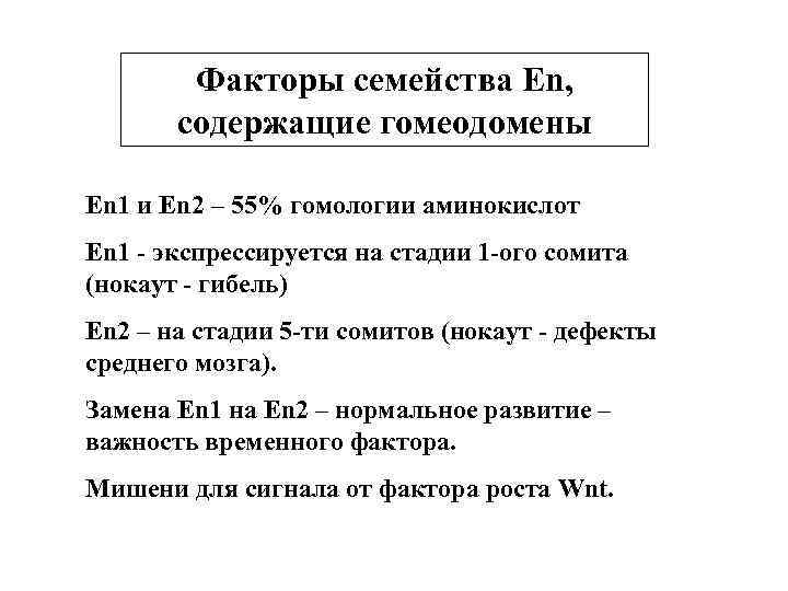 Факторы семейства En, содержащие гомеодомены En 1 и En 2 – 55% гомологии аминокислот