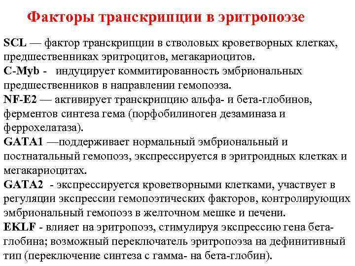  Факторы транскрипции в эритропоэзе SCL — фактор транскрипции в стволовых кроветворных клетках, предшественниках