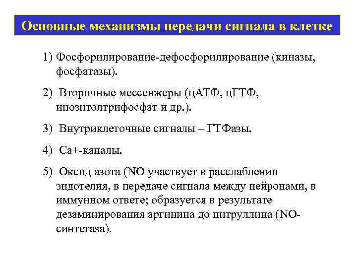 Основные механизмы передачи сигнала в клетке 1) Фосфорилирование-дефосфорилирование (киназы, фосфатазы). 2) Вторичные мессенжеры (ц.