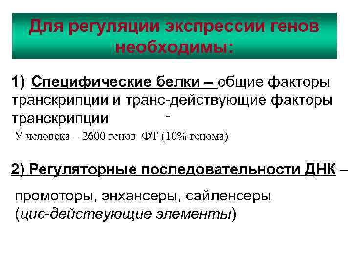 Для регуляции экспрессии генов необходимы: 1) Специфические белки – общие факторы транскрипции и транс-действующие