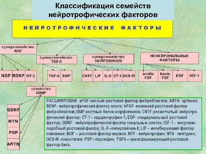 Классификация семейств нейротрофических факторов 