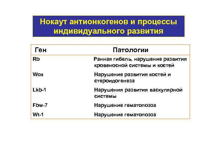 Нокаут антионкогенов и процессы индивидуального развития Ген Патологии Rb Ранная гибель, нарушение развития кровеносной