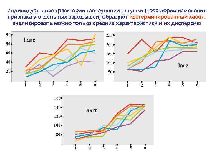 Индивидуальные траектории гаструляции лягушки (траектории изменения признака у отдельных зародышей) образуют «детерминированный хаос» :