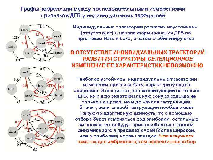 Графы корреляций между последовательными измерениями признаков ДГБ у индивидуальных зародышей Индивидуальные траектории развития неустойчивы