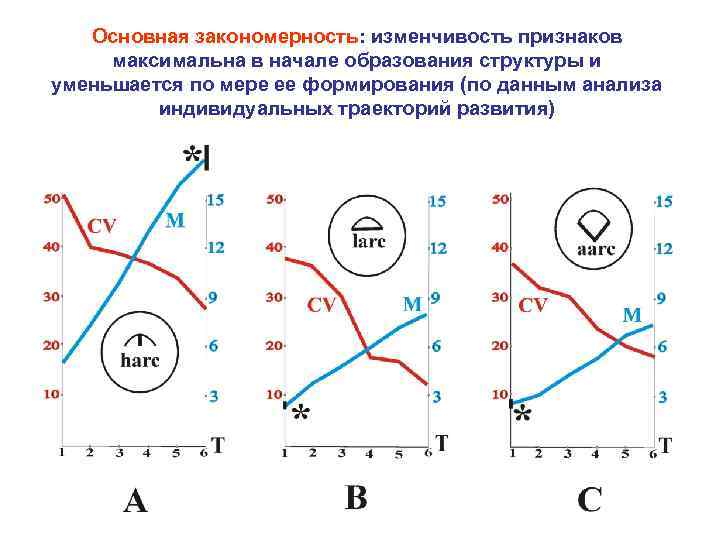 Основная закономерность: изменчивость признаков максимальна в начале образования структуры и уменьшается по мере ее