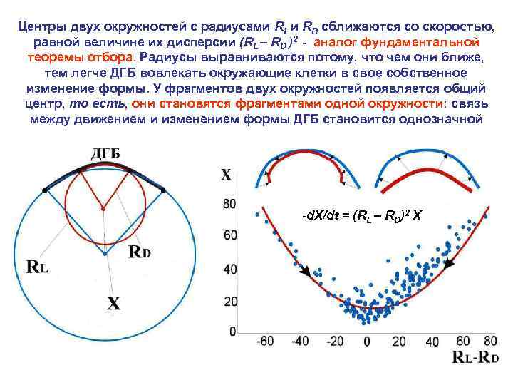 Центры двух окружностей с радиусами RL и RD сближаются со скоростью, равной величине их