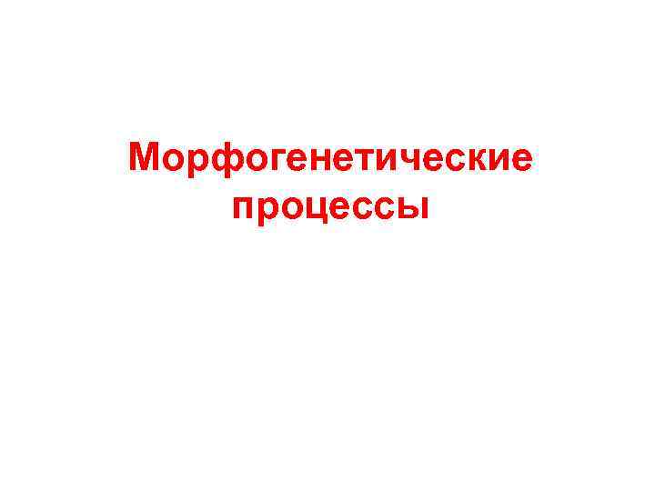 Морфогенетические процессы 