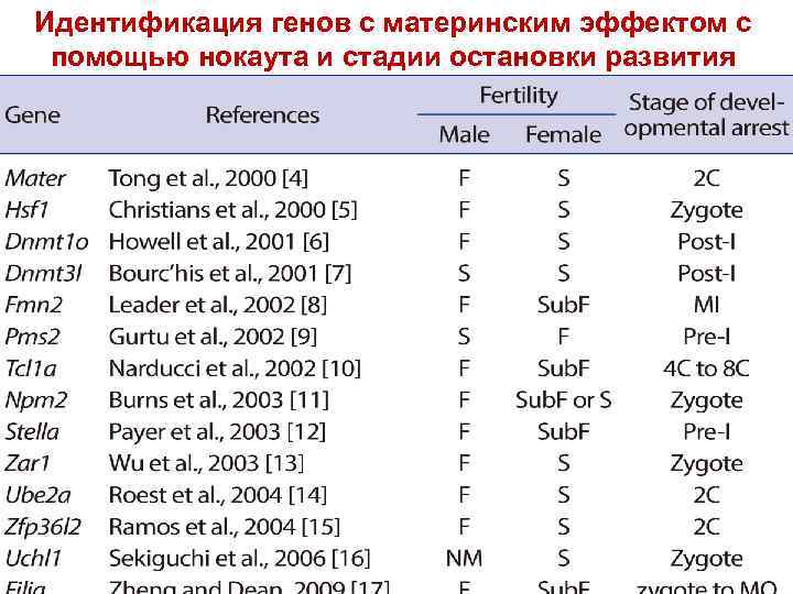 Идентификация генов с материнским эффектом с помощью нокаута и стадии остановки развития 