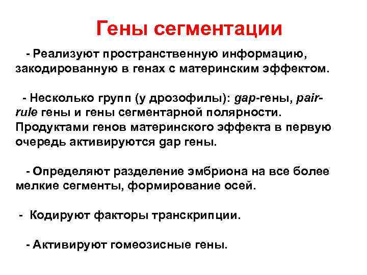  Гены сегментации - Реализуют пространственную информацию, закодированную в генах с материнским эффектом. -