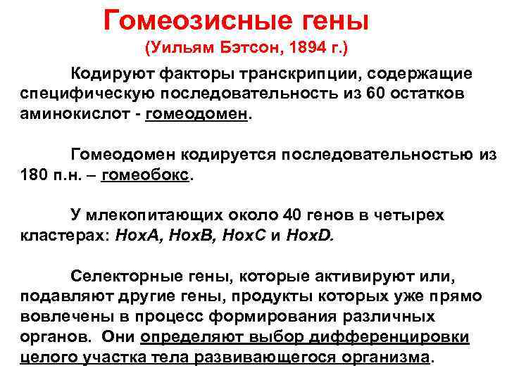 Гомеозисные гены (Уильям Бэтсон, 1894 г. ) Кодируют факторы транскрипции, содержащие специфическую последовательность из