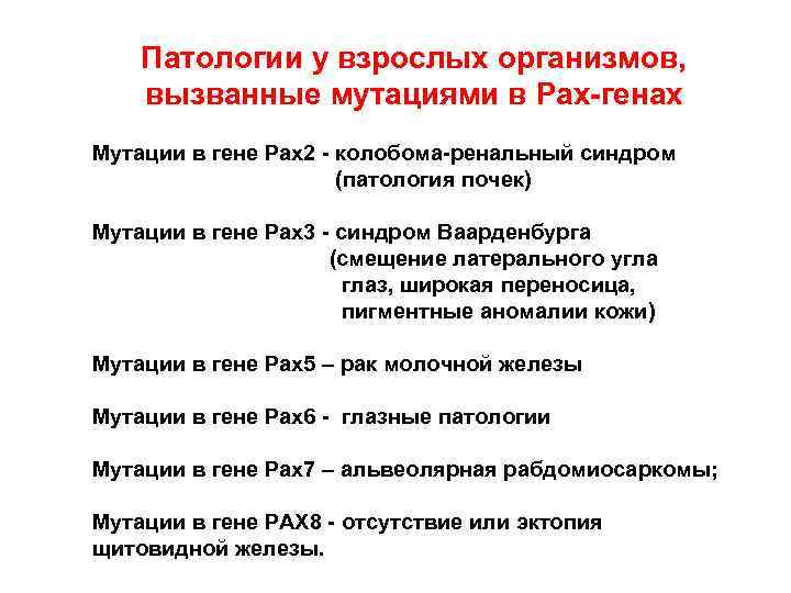 Патологии у взрослых организмов, вызванные мутациями в Pax-генах Мутации в гене Pax 2 -