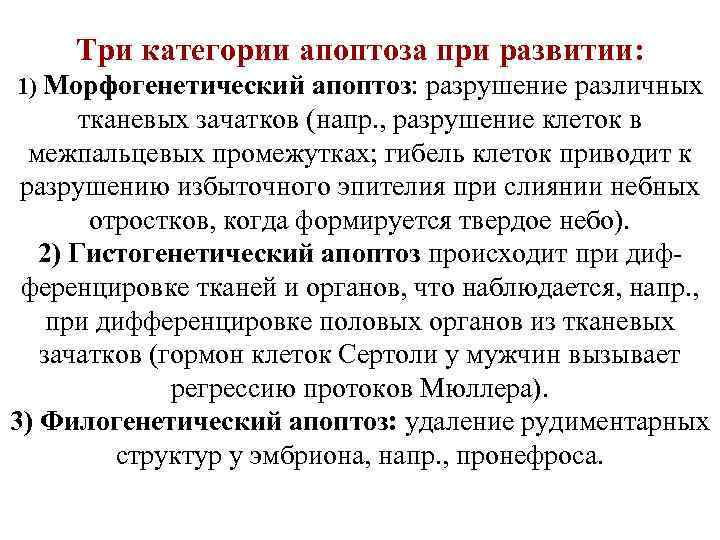 Три категории апоптоза при развитии: 1) Морфогенетический апоптоз: разрушение различных тканевых зачатков (напр. ,