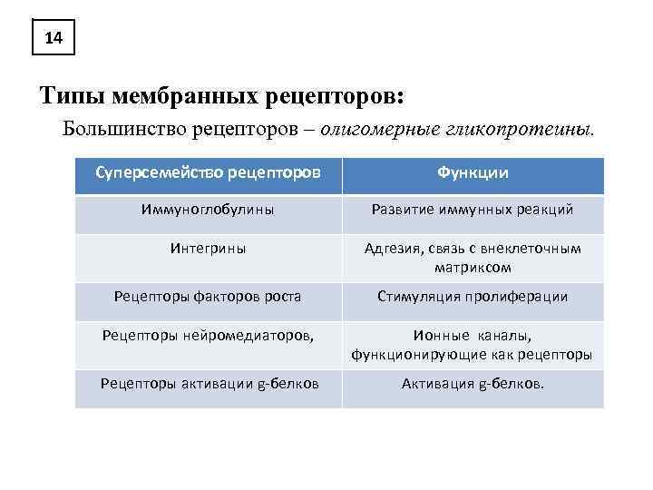 14 Типы мембранных рецепторов: Большинство рецепторов – олигомерные гликопротеины. Суперсемейство рецепторов Функции Иммуноглобулины Развитие