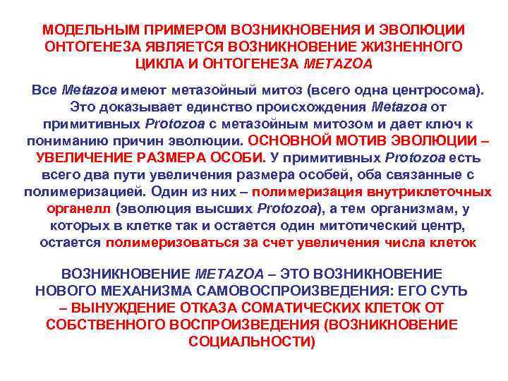 МОДЕЛЬНЫМ ПРИМЕРОМ ВОЗНИКНОВЕНИЯ И ЭВОЛЮЦИИ ОНТОГЕНЕЗА ЯВЛЯЕТСЯ ВОЗНИКНОВЕНИЕ ЖИЗНЕННОГО ЦИКЛА И ОНТОГЕНЕЗА METAZOA Все