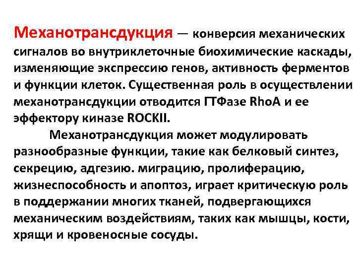Механотрансдукция — конверсия механических сигналов во внутриклеточные биохимические каскады, изменяющие экспрессию генов, активность ферментов