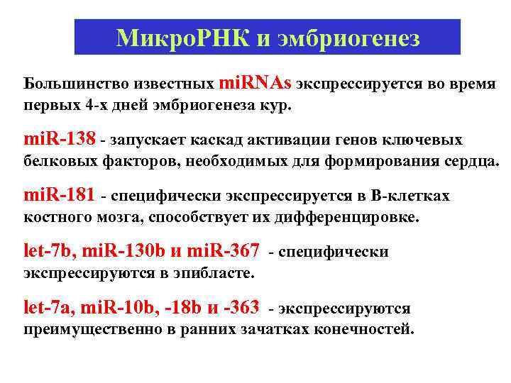 Микро. РНК и эмбриогенез Большинство известных mi. RNAs экспрессируется во время первых 4 -х
