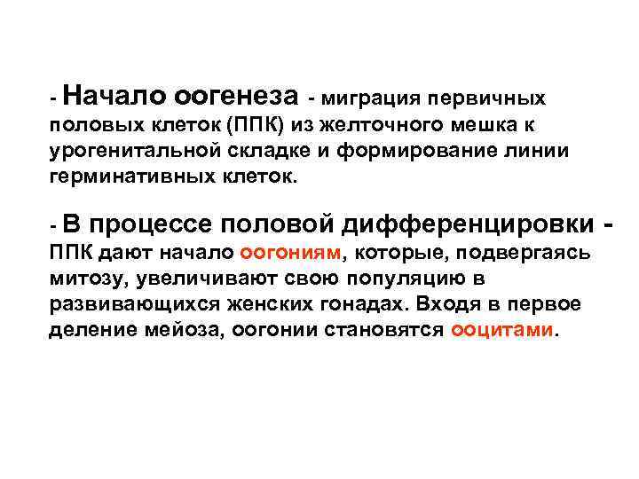 - Начало оогенеза - миграция первичных половых клеток (ППК) из желточного мешка к урогенитальной