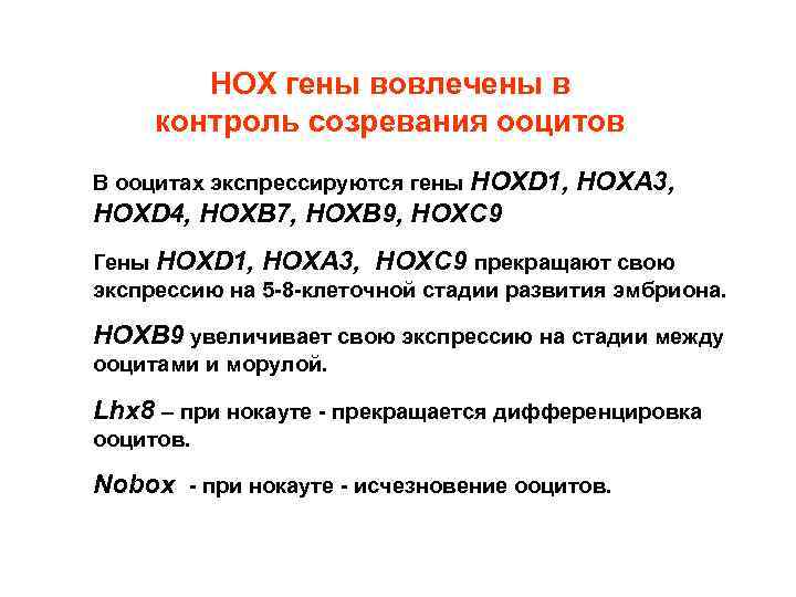 HOX гены вовлечены в контроль созревания ооцитов В ооцитах экспрессируются гены HOXD 1, HOXA