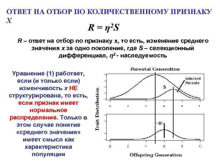 ОТВЕТ НА ОТБОР ПО КОЛИЧЕСТВЕННОМУ ПРИЗНАКУ X R = η 2 S R –