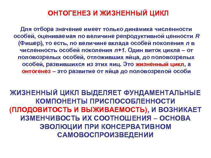 ОНТОГЕНЕЗ И ЖИЗНЕННЫЙ ЦИКЛ Для отбора значение имеет только динамика численности особей, оцениваемая по
