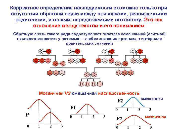 Корректное определение наследуемости возможно только при отсутствии обратной связи между признаками, реализуемыми родителями, и