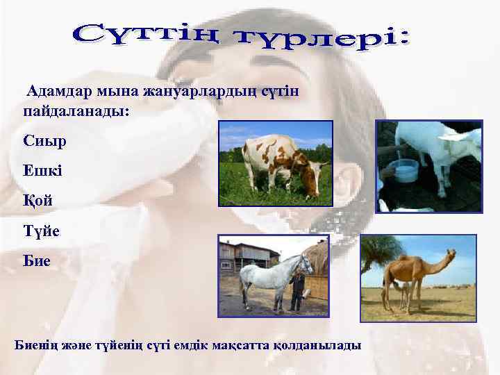  Адамдар мына жануарлардың сүтін пайдаланады: Сиыр Ешкі Қой Түйе Биенің және түйенің сүті