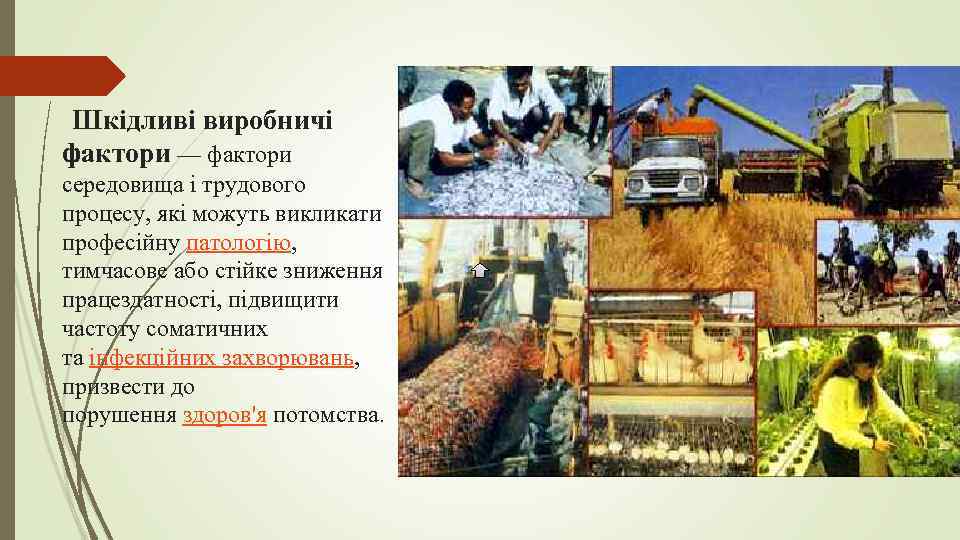 Шкідливі виробничі фактори — фактори середовища і трудового процесу, які можуть викликати професійну патологію,