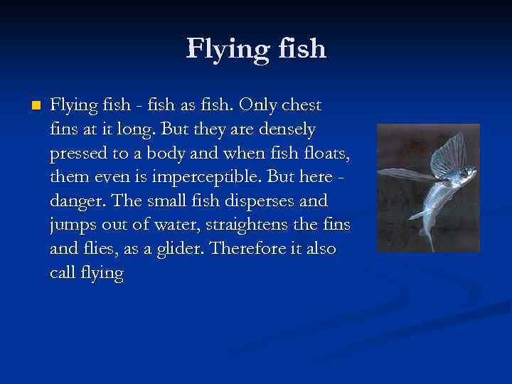 Flying fish n Flying fish - fish as fish. Only chest fins at it