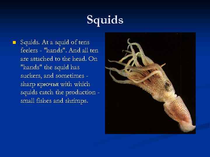 Squids n Squids. At a squid of tens feelers - "hands". And all ten
