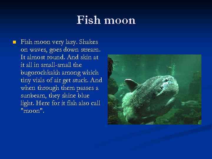 Fish moon n Fish moon very lazy. Shakes on waves, goes down stream. It
