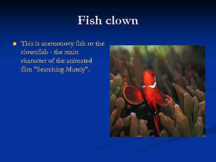 Fish clown n This is anemonovy fish or the clownfish - the main character