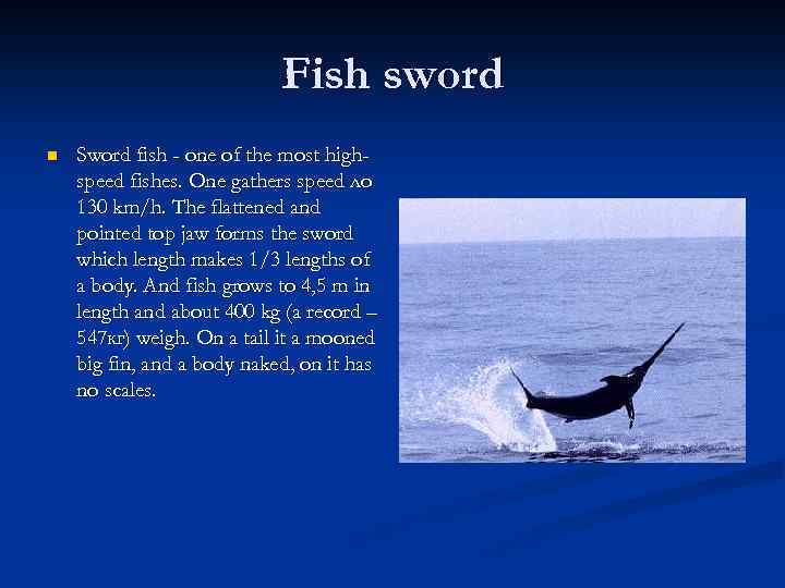Fish sword n Sword fish - one of the most highspeed fishes. One gathers