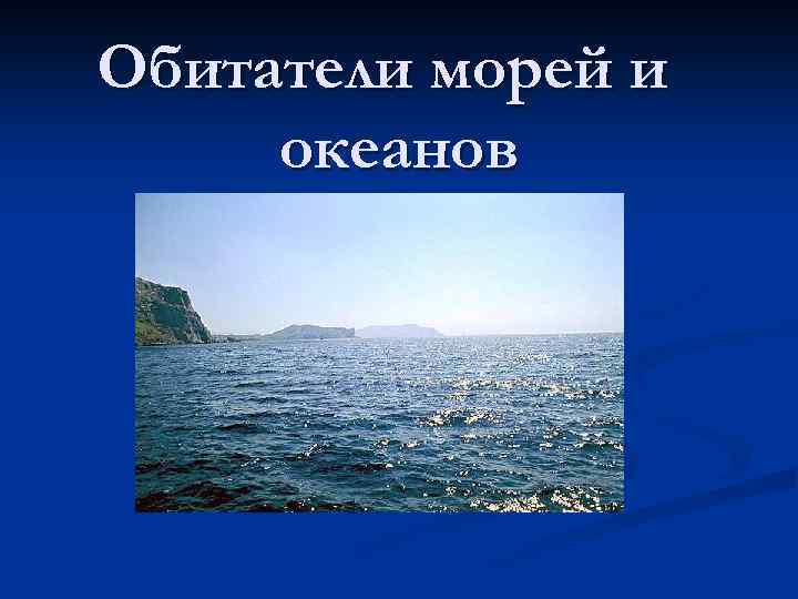 Обитатели морей и океанов 