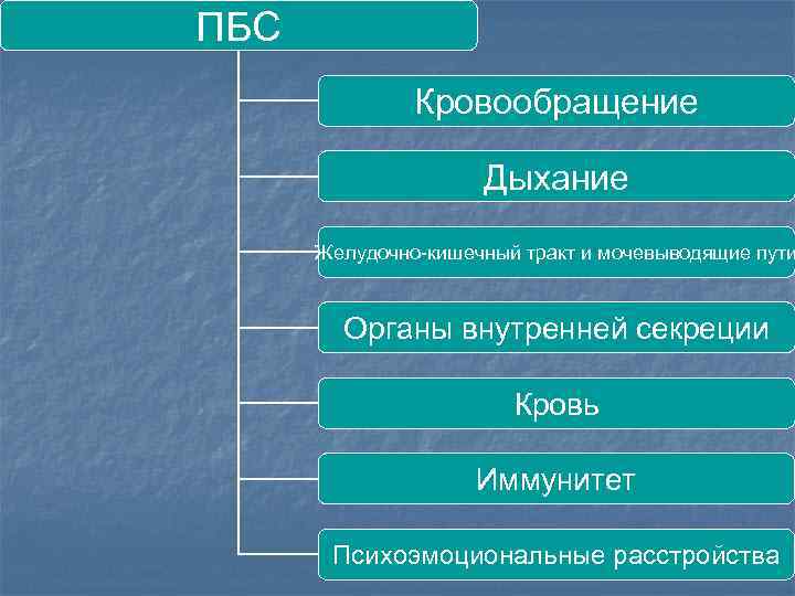 ПБС Кровообращение Дыхание Желудочно-кишечный тракт и мочевыводящие пути Органы внутренней секреции Кровь Иммунитет Психоэмоциональные