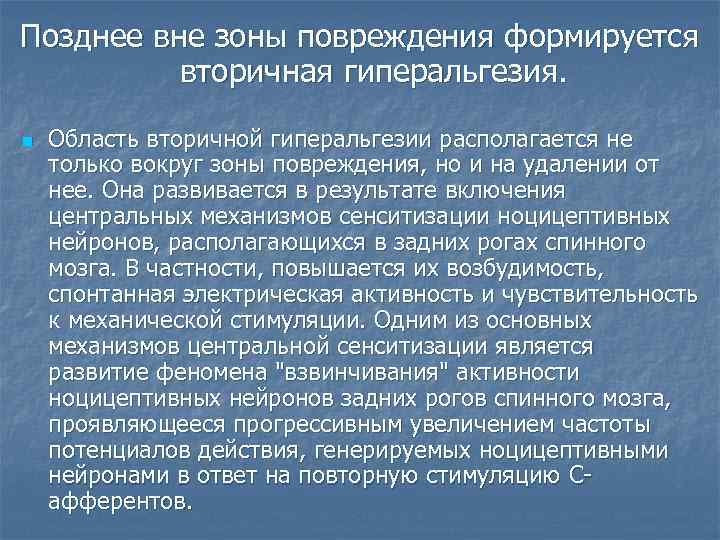 Позднее вне зоны повреждения формируется вторичная гиперальгезия. n Область вторичной гиперальгезии располагается не только