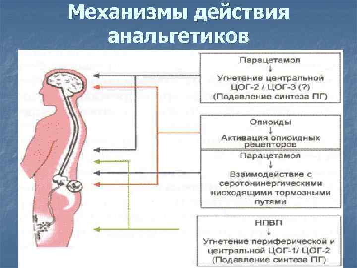 Механизм Действия Анальгетика