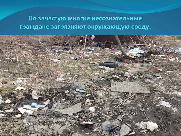 Но зачастую многие несознательные граждане загрязняют окружающую среду. 