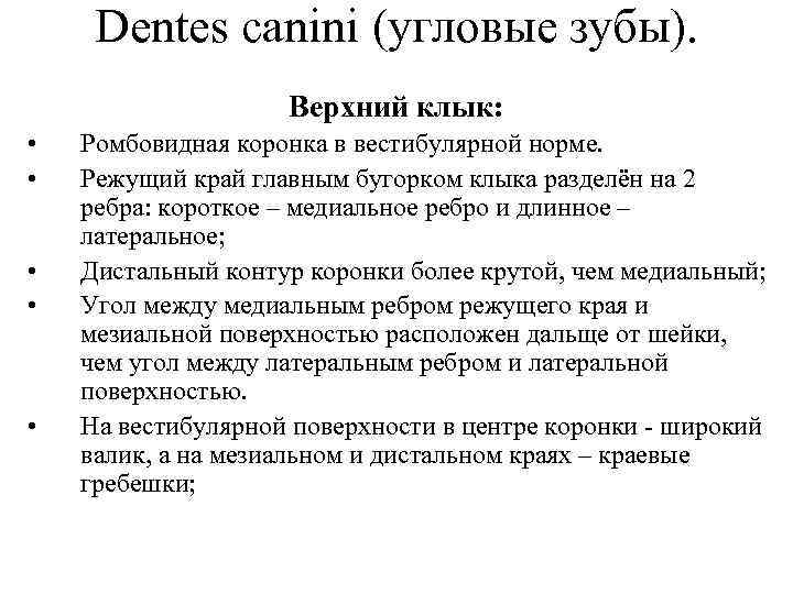Dentes canini (угловые зубы). Верхний клык: • • • Ромбовидная коронка в вестибулярной норме.