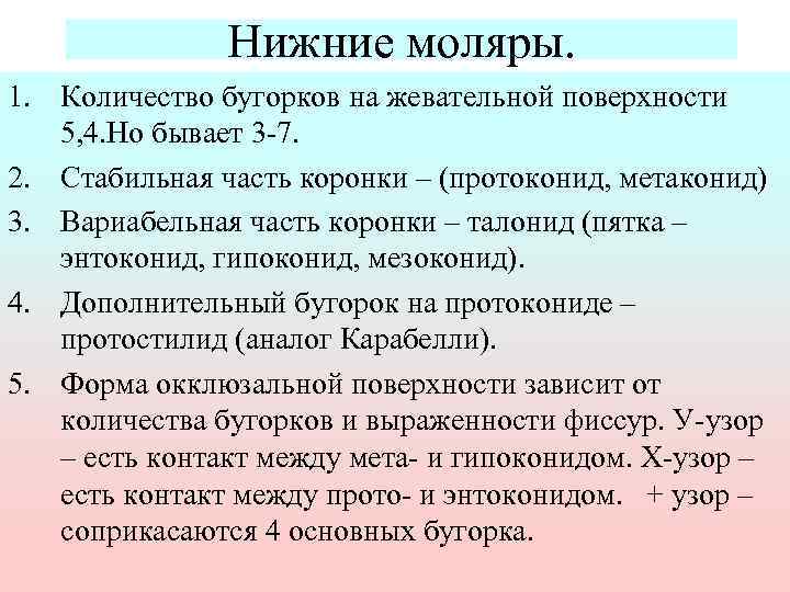 Нижние моляры. 1. Количество бугорков на жевательной поверхности 5, 4. Но бывает 3 -7.