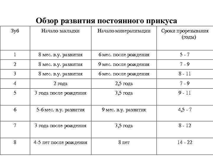 Обзор развития постоянного прикуса Зуб Начало закладки Начало минерализации Сроки прорезывания (годы) 1 8