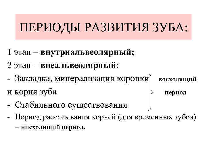 ПЕРИОДЫ РАЗВИТИЯ ЗУБА: 1 этап – внутриальвеолярный; 2 этап – внеальвеолярный: - Закладка, минерализация