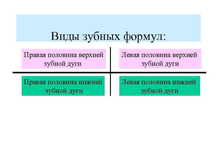 Виды зубных формул: Правая половина верхней зубной дуги Левая половина верхней зубной дуги Правая